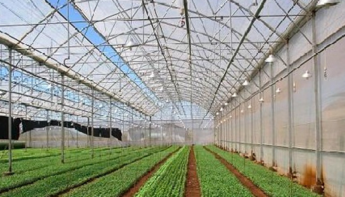 Những lợi ích trong việc xây dựng nhà lưới trồng rau