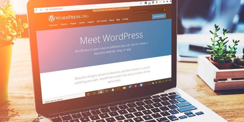 Hướng dẫn cách thiết kế giao diện website bằng WordPress