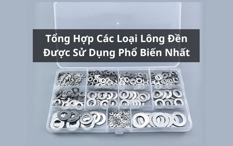 các loại lông đền